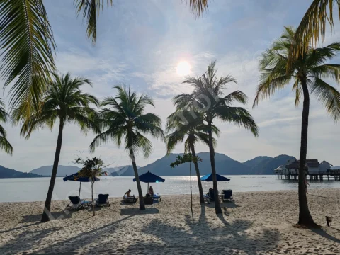 Palm trees and beach loungers beside calm water, with mountains across the bay.