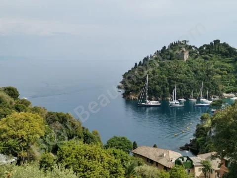 Sailboats moored in a sheltered coastal bay beneath a green hillside.