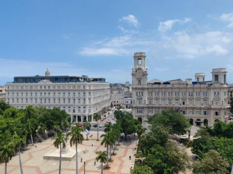 Palm-lined city square surrounded by grand historic buildings under a clear blue sky.