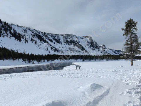 River flowing through a snowy valley beneath pine-covered mountain slopes.