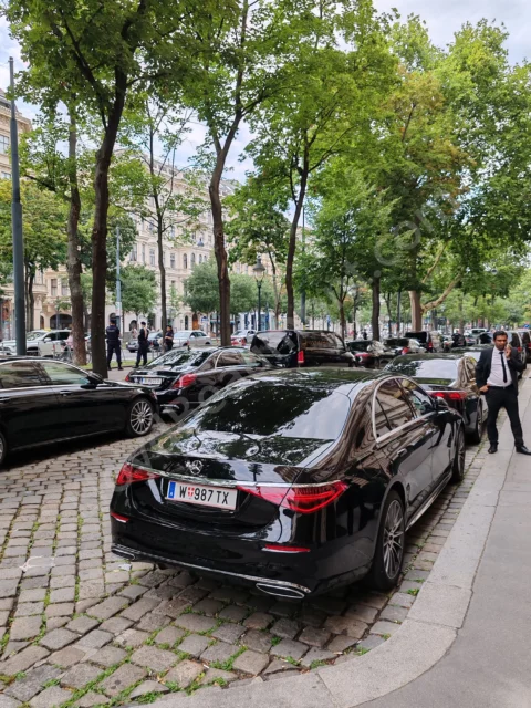 Chauffeured black luxury cars line a leafy city boulevard.